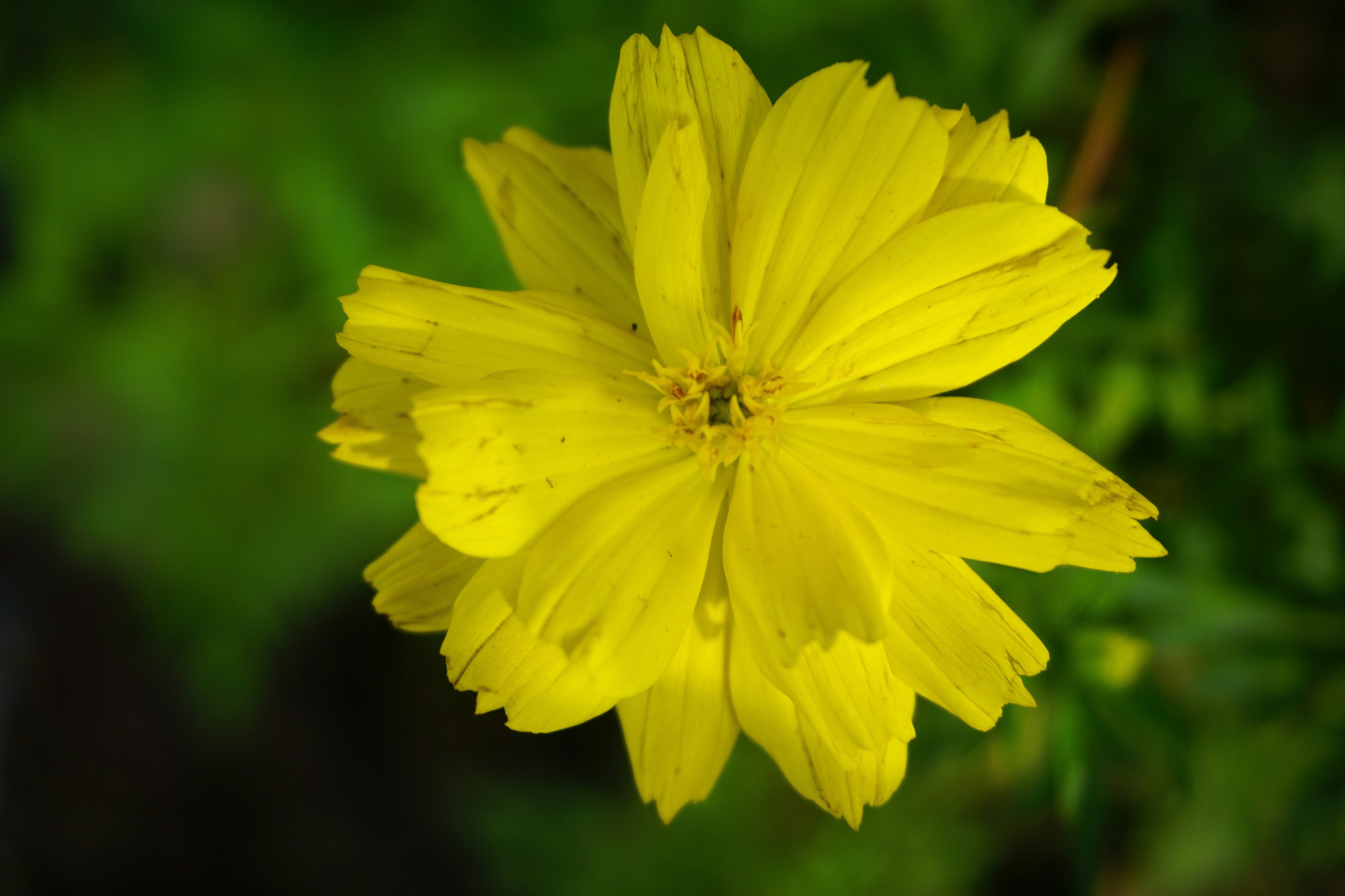 apr (agricultural property relief) and bpr (business property relief) threshold to be higher